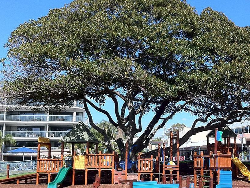 Moffat Beach Motel Caloundra Exteriör bild